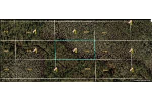 DILL RD, ORLANDO, FL 32820 - MLS#MFRO6233798