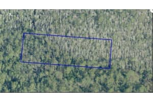 DILL RD, ORLANDO, FL 32820 - MLS#MFRO6233798