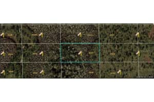 DILL RD, ORLANDO, FL 32820 - MLS#MFRO6233803
