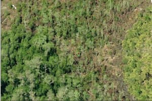 DILL RD, ORLANDO, FL 32820 - MLS#MFRO6233803