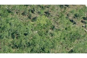 E COLONIAL DR, ORLANDO, FL 32820 - MLS#MFRO6233807