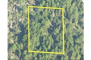 INTERNATIONAL DR S, ORLANDO, FL 32821 - MLS#MFRO6233810
