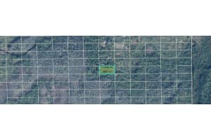 DILL RD, ORLANDO, FL 32820 - MLS#MFRO6233814