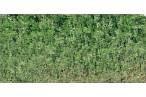 DILL RD, ORLANDO, FL 32820 - MLS#MFRO6234182