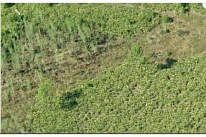 DILL RD, ORLANDO, FL 32820 - MLS#MFRO6234184