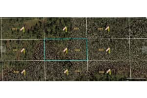 DILL RD, ORLANDO, FL 32820 - MLS#MFRO6234185
