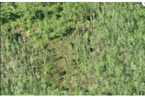 DILL RD, ORLANDO, FL 32820 - MLS#MFRO6234185