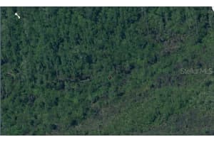 DILL RD, ORLANDO, FL 32820 - MLS#MFRO6234201