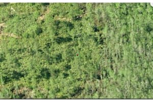 DILL RD, ORLANDO, FL 32820 - MLS#MFRO6234215