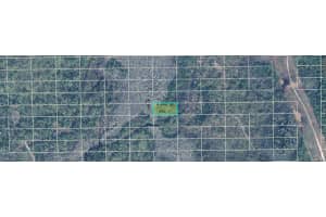 DILL RD, ORLANDO, FL 32820 - MLS#MFRO6234216