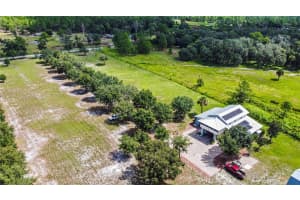 1055 TIFFORD LANE, OSTEEN, FL 32764 Sold 12/09/24