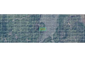 DILL RD, ORLANDO, FL 32820 - MLS#MFRO6234572