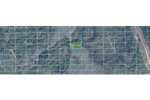 DILL RD, ORLANDO, FL 32820 - MLS#MFRO6234584