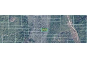 DILL RD, ORLANDO, FL 32820 - MLS#MFRO6234592