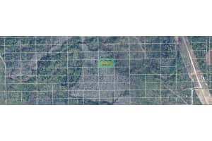 DILL RD, ORLANDO, FL 32820 - MLS#MFRO6234593