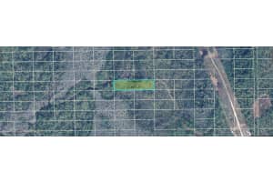 DILL RD, ORLANDO, FL 32820 - MLS#MFRO6234595