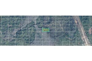 DILL RD, ORLANDO, FL 32820 - MLS#MFRO6235001