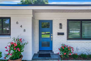 648 BRECHIN DRIVE, WINTER PARK, FL 32792 - MLS#MFRO6235113