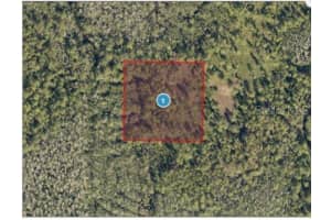 SALYERS RD, CLERMONT, FL 34714 - MLS#MFRO6235689