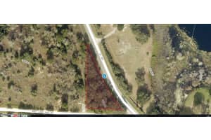 CR-450, UMATILLA, FL 32784 - MLS#MFRO6235694