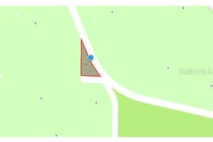 CR-450, UMATILLA, FL 32784 - MLS#MFRO6235694