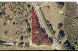 CR-450, UMATILLA, FL 32784 - MLS#MFRO6235694