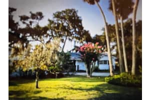 131 LIVE OAK ROAD, WINTER GARDEN, FL 34787 Sold 09/17/24