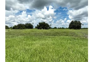 1265 BLUE HERON DRIVE, SEBRING, FL 33876 Sold 10/03/24