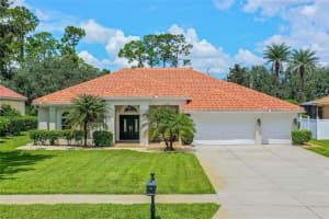 11085 LEDGEMENT LANE, WINDERMERE, FL 34786 Sold 01/17/25