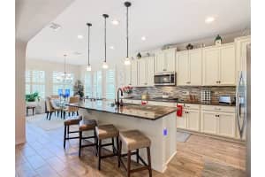 17208 OCEAN HILL DRIVE, WINTER GARDEN, FL 34787 Sold 01/24/25