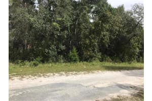 9031 CARRIE WAY, WEEKI WACHEE, FL 34613 Sold 10/01/24