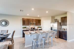 11591 AMBER RIDGE DRIVE, ZELLWOOD, FL 32798 Sold 12/26/24