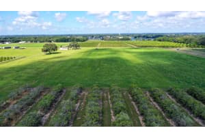 CHARLES OSBORNE RD, UMATILLA, FL 32784 Sold 07/21/25