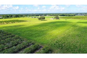 CHARLES OSBORNE RD, UMATILLA, FL 32784 Sold 07/21/25