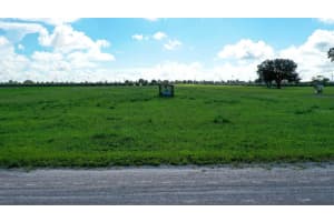 CHARLES OSBORNE RD, UMATILLA, FL 32784 Sold 07/21/25