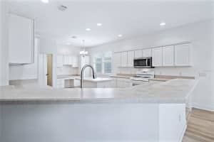 646 MURPHYS ESTATE DRIVE, THE VILLAGES, FL 32162 Sold 03/21/25