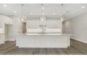 2232 SEAGRASS POINT, KISSIMMEE, FL 34747 Sold 12/13/24
