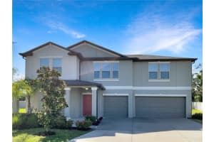 911 TIMELESS MOSS DRIVE, RUSKIN, FL 33570 Sold 12/10/24