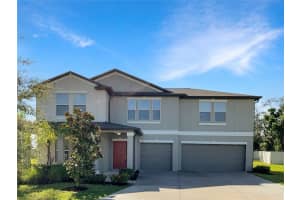 911 TIMELESS MOSS DRIVE, RUSKIN, FL 33570 Sold 12/10/24
