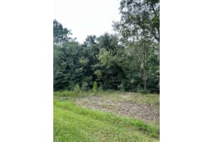 66TH, OCALA, FL 34481 Sold 10/18/24