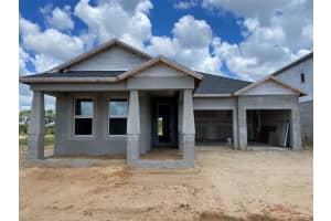 16893 MUSKGRASS DRIVE, WINTER GARDEN, FL 34787 Sold 12/17/24