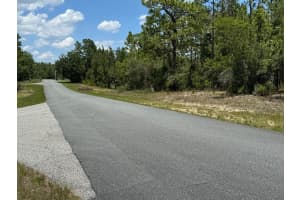 9631 LOVELL DRIVE, DUNNELLON, FL 34433 Sold 10/24/24