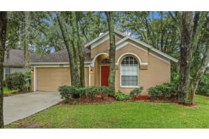 4615 HIDDEN SHADOW DRIVE, TAMPA, FL 33614 Sold 11/12/24