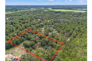 EVALINE ST, BROOKSVILLE, FL 34601 - MLS#MFRO6237470