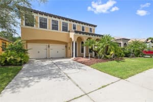 8231 DUNHAM STATION DRIVE, TAMPA, FL 33647 - MLS#MFRO6237754