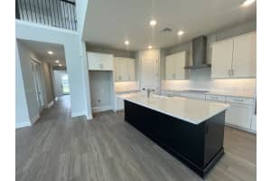 28833 HILLCREST VALLEY BOULEVARD, WESLEY CHAPEL, FL 33543 Sold 12/27/24