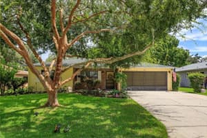 331 DOUGLAS DRIVE, EUSTIS, FL 32726 Sold 07/15/25