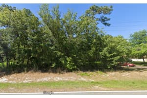 84 GREENTREE STREET, HOMOSASSA, FL 34446 Sold 05/21/25