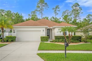 137 PERGOLA PLACE, ORMOND BEACH, FL 32174 Sold 12/12/24