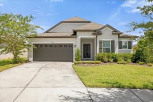 8064 Olive Brook Dr, WESLEY CHAPEL